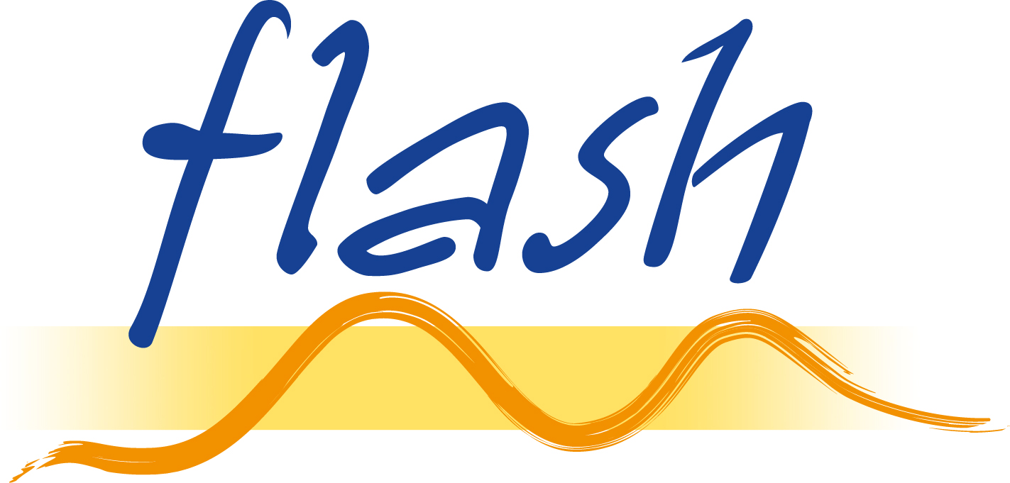 Logo_flash